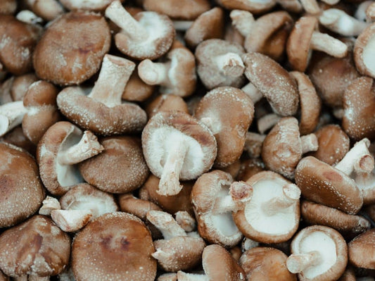 Fresh shiitake mushrooms on natural wood, showcasing their unique texture and rich color