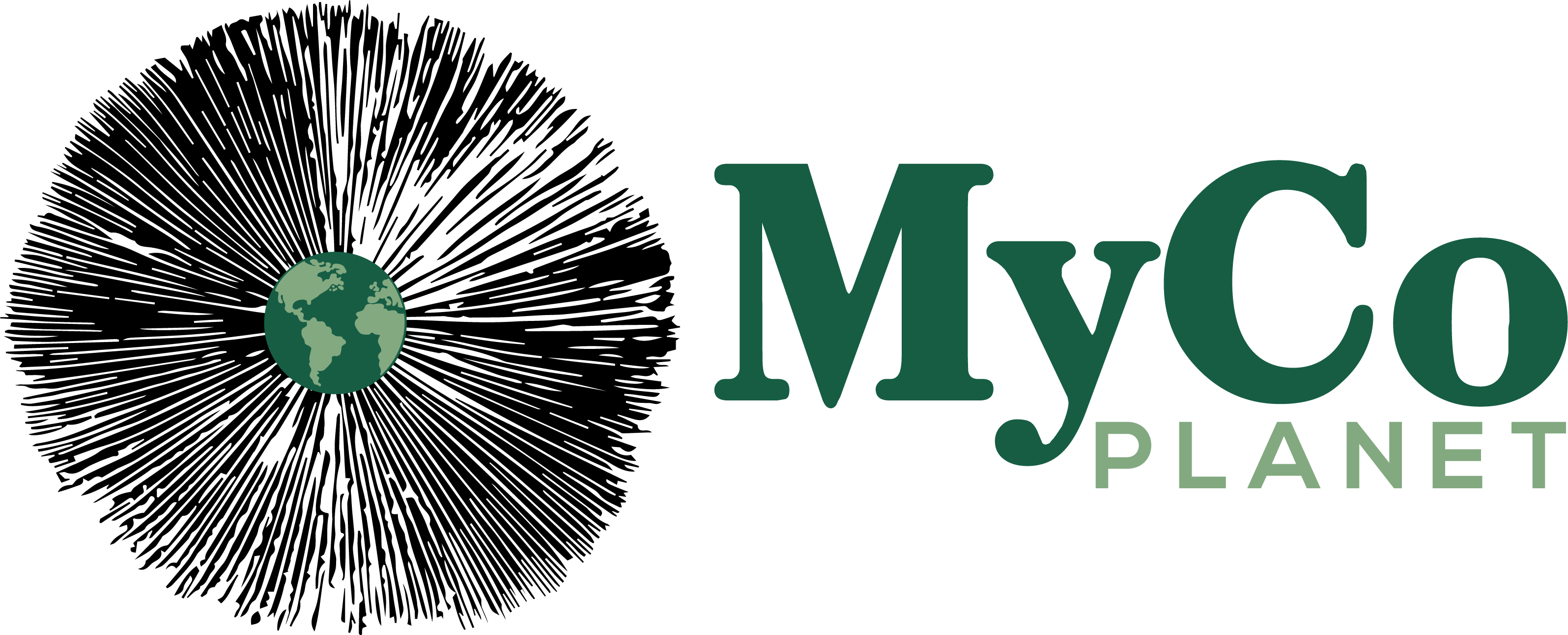 Find Our Fresh Mushrooms at Your Local Grocery Store – MyCo Planet 