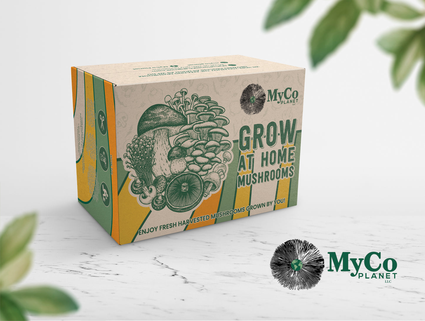 Organic Italian Oyster Grow Kit
