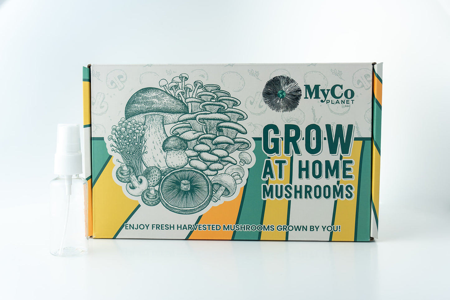 Lion’s Mane Grow Kit