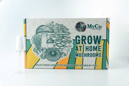 Organic Lion’s Mane Mushrooms – 0.5 lb
