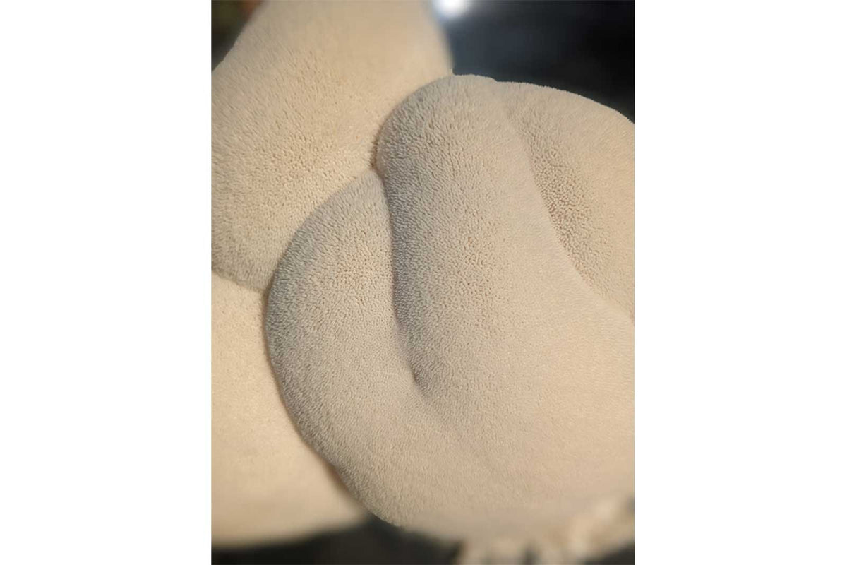 Organic Lion’s Mane Mushrooms – 0.5 lb