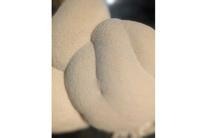 Organic Lion’s Mane Mushrooms – 0.5 lb