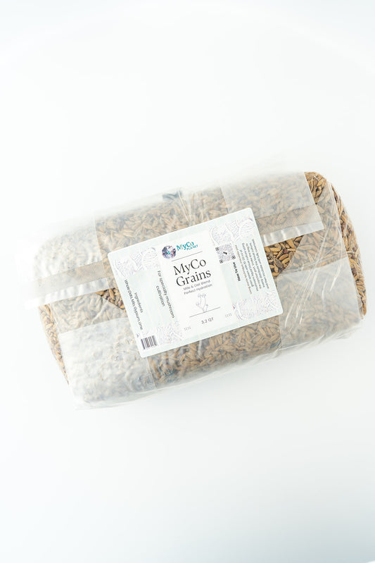 Myco Grains Sterilized Grain Bag