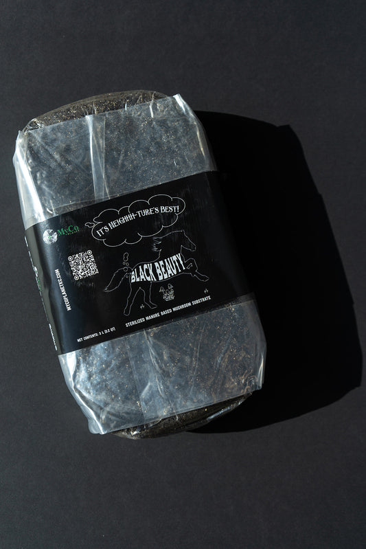 Black Beauty Sterilized Substrate Grow Bag