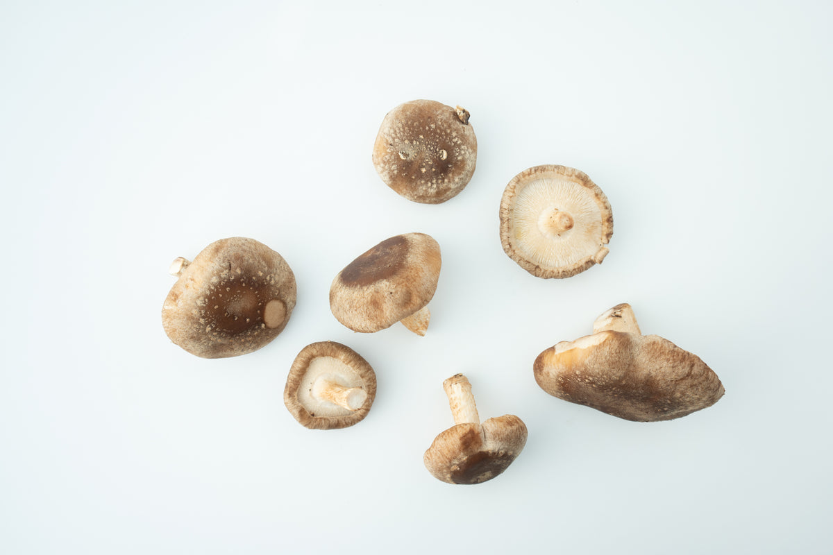 Organic Shiitake Mushrooms – 0.5 lb